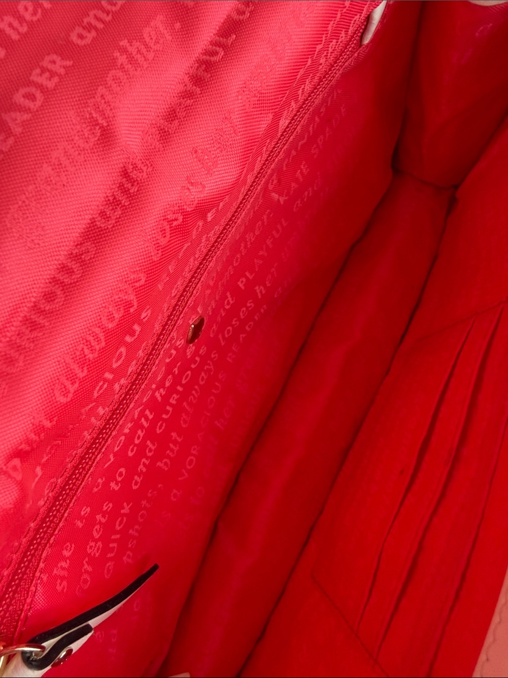 NWOT Kate Spade Bay Drive Chloe Finn Clutch Bag - Picture 8 of 8